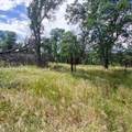 14655 Betz Lane - Photo 21