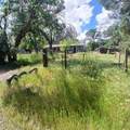 14655 Betz Lane - Photo 3