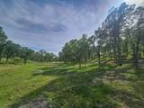 18753 Saddleback Ridge Lp. - Photo 55