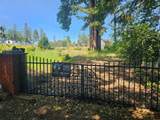 6241 Lind Ln - Photo 1