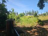 6241 Lind Ln - Photo 7