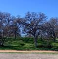000 Monroe Avenue - Photo 13