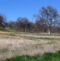 000 Monroe Avenue - Photo 14