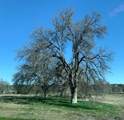 000 Monroe Avenue - Photo 8