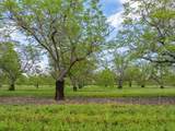 820 Paynes Creek Road - Photo 24