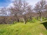 18920 Reeds Creek Road - Photo 68