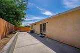 20890 Beagle Street - Photo 31