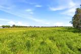 24065 Maria Road - Photo 27