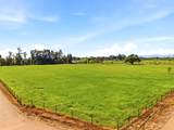 24065 Maria Road - Photo 39