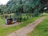 16795 Old Stage Coach Trail - Photo 17
