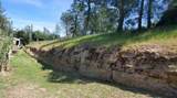 16080 Oakridge Road - Photo 10