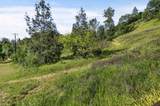 5595 Dream Valley Road - Photo 13