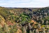 5595 Dream Valley Road - Photo 17