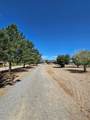 477-505 Laura Rd - Photo 33