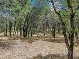 Lot 21 Bywood Drive - Photo 7