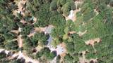 28936 Shingle Creek Ln - Photo 8