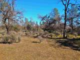  Palm Avenue - Photo 2