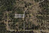 041-521-031 Blue Grouse Road - Photo 1