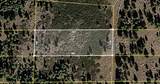 041-521-031 Blue Grouse Road - Photo 3