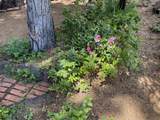 691-460 Las Plumas Way - Photo 44