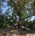 19115 Simpson Road - Photo 33
