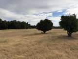 19115 Simpson Road - Photo 35