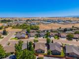 1450 Donita Drive - Photo 28