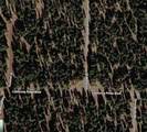 00 Truckee Dr - Photo 1