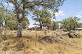 4626 Pat Ln - Photo 68
