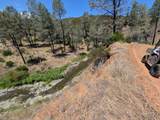 0 Colyear Springs Road - Photo 12