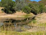0 Colyear Springs Road - Photo 8
