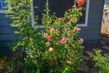 1566 Robinson Drive - Photo 51