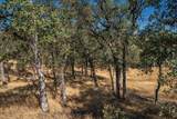 18710 Saddleback Ridge Rd. - Photo 41