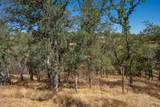 18710 Saddleback Ridge Rd. - Photo 42