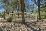 16230 Skyline Drive - Photo 41