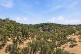 16230 Skyline Drive - Photo 46