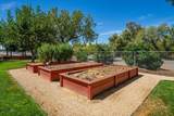 1221 Pear Street - Photo 27