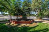 1221 Pear Street - Photo 29