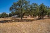 7487 White Oak Road - Photo 28