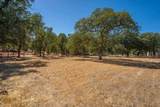 7487 White Oak Road - Photo 29