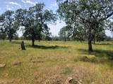  Wildcat Road - Photo 1