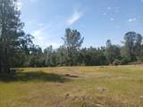  Wildcat Road - Photo 4