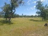  Wildcat Road - Photo 6