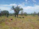  Wildcat Road - Photo 7