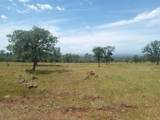  Wildcat Road - Photo 8