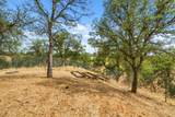 19836 Freshwater Drive - Photo 34