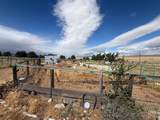 446-555 Highway 395 - Photo 30