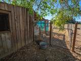 3212 Ark Way - Photo 50