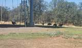 21857 Preston Place - Photo 9