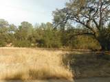 219 Self Lane - Photo 8